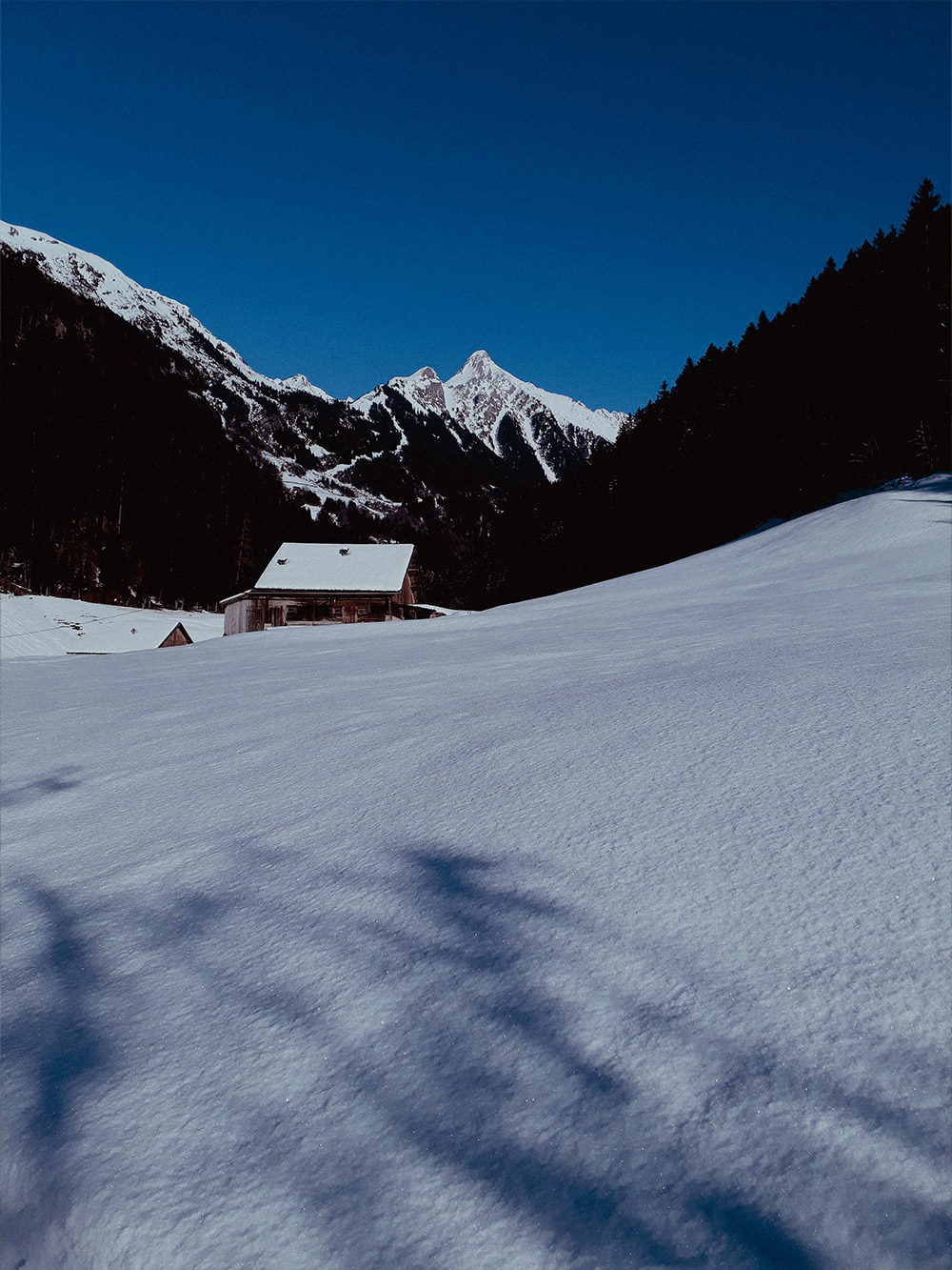 winterlandschaft brandberger kolm